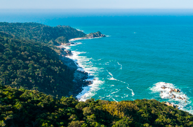 Belezas da Mata Atlântica de Bombinhas